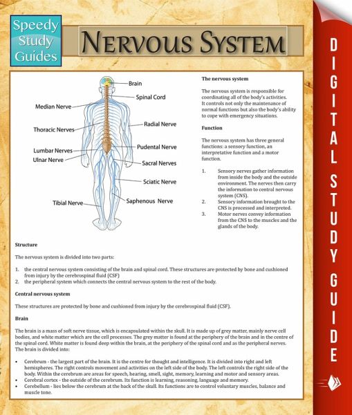 Nervous System (eBook, ePUB)