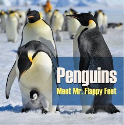 Penguins - Meet Mr. Flappy Feet (eBook, ePUB) - Baby