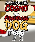 Audrey Meets Cosmo the Firehouse Dog (eBook, ePUB)