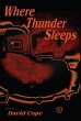 Where Thunder Sleeps (eBook, ePUB) - Bild 1