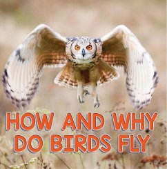 How and Why Do Birds Fly (eBook, ePUB) - Baby