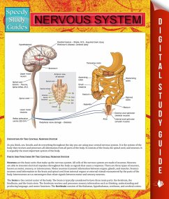 Cover Nervous System (eBook, ePUB)