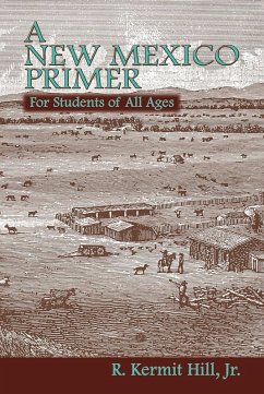 A New Mexico Primer (eBook, ePUB)