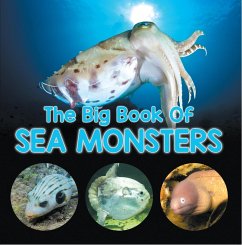 The Big Book Of Sea Monsters (Scary Looking Sea Animals) (eBook, ePUB) - Baby