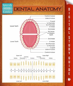 Dental Anatomy (eBook, ePUB) - Publishing, Speedy