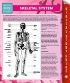 Skeletal System (eBook, ePUB)