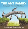 The Ant Family - Fun Facts You Need To... - Bild 1