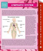 Lymphatic System (eBook, ePUB)