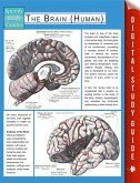 The Brain (Human) (Speedy Study Guides) (eBook, ePUB)