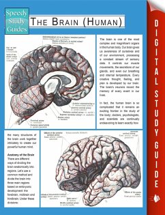 The Brain (Human) (Speedy Study Guides) (eBook, ePUB) - Publishing, Speedy