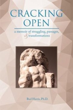 Cover Cracking Open (eBook, ePUB)