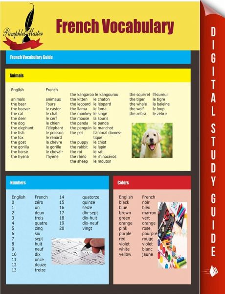 French Vocabulary (eBook, ePUB) French Vocabulary (eBook, ePUB)