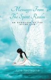 Messages From The Spirit Realm (eBook, ePUB) Messages From The Spirit Realm (eBook, ePUB)