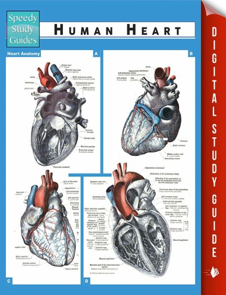Human Heart (Speedy Study Guides) (eBook, ePUB)