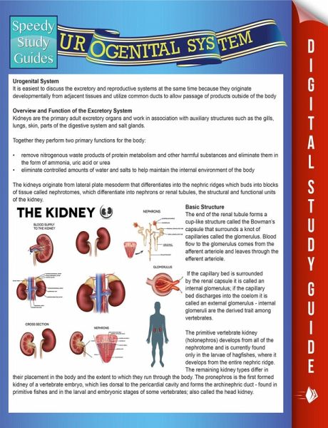 Urogenital System (Speedy Study Guides) (eBook, ePUB) Urogenital System (Speedy Study Guides) (eBook, ePUB)