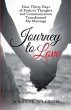 Journey to Love (eBook, ePUB) - Bild 1