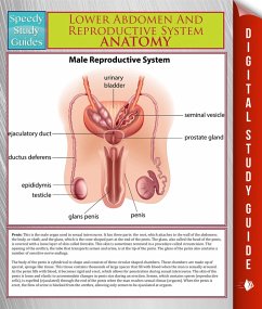 Lower Abdomen And Reproductive System Anatomy (Speedy Study Guide) (eBook, ePUB) Cover Lower Abdomen And Reproductive System Anatomy (Speedy Study Guide) (eBook, ePUB)