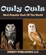 Owly Owls Most Popular Owls Of The... - Bild 1