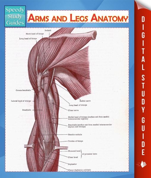 Arms and Legs Anatomy (Speedy Study Guide) (eBook, ePUB) Arms and Legs Anatomy (Speedy Study Guide) (eBook, ePUB)