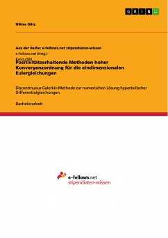 Positivitätserhaltende Methoden hoher Konvergenzordnung für die eindimensionalen Eulergleichungen (eBook, PDF)