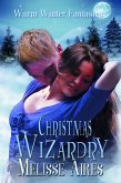 Christmas Wizardry (Warm Winter Fantasy) (eBook, ePUB)