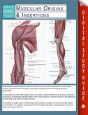 Muscular Origins & Insertions (Speedy Study Guides) (eBook, ePUB)