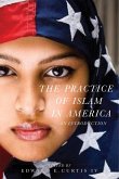 The Practice of Islam in America (eBook, ePUB)