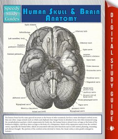 Cover Human Skull And Brain Anatomy (Speedy Study Guide) (eBook, ePUB)