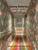 Eating Batteries (eBook, ePUB)