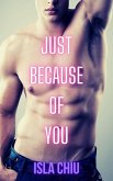 Just Because of You (eBook, ePUB)