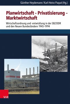 Planwirtschaft – Privatisierung – Marktwirtschaft (eBook, PDF)