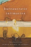 Bureaucratic Intimacies (eBook, ePUB)