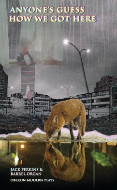 Anyone's Guess How We Got Here (eBook, ePUB) - Perkins, Jack