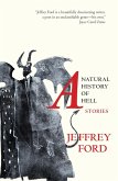 A Natural History of Hell (eBook, ePUB)