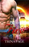 Second Chance: Heart of Fire Book 2 (Shifter Romance) (eBook, ePUB)