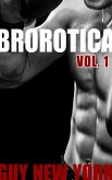 Brorotica Vol.1 (eBook, ePUB)