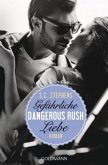 Dangerous Rush. Gefährliche Liebe / Rush Trilogie Bd.2