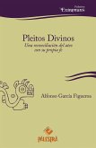 Pleitos divinos (eBook, ePUB) Pleitos divinos (eBook, ePUB)