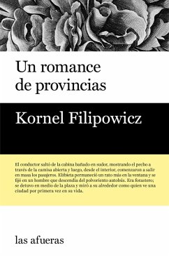 Cover Un romance de provincias (eBook, ePUB)