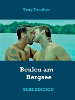 Beulen am Bergsee (eBook, ePUB)