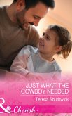 Just What The Cowboy Needed (eBook, ePUB)