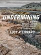 Undermining (eBook, ePUB) - Bild 1