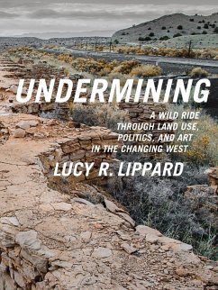Undermining (eBook, ePUB) - Lippard, Lucy R.