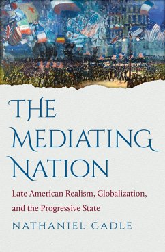 The Mediating Nation (eBook, ePUB)