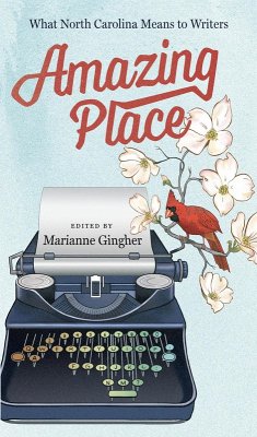 Cover Amazing Place (eBook, ePUB)