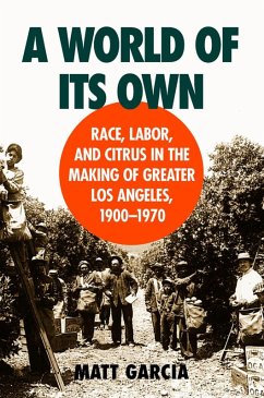 Cover A World of Its Own (eBook, ePUB)
