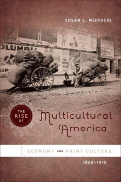 The Rise of Multicultural America (eBook, ePUB)