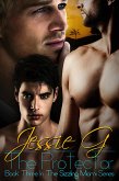 The Protector (Sizzling Miami, #3) (eBook, ePUB)