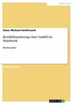 Kreditfinanzierung einer GmbH im Handwerk (eBook, PDF)