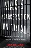 Mass Incarceration on Trial (eBook, ePUB)